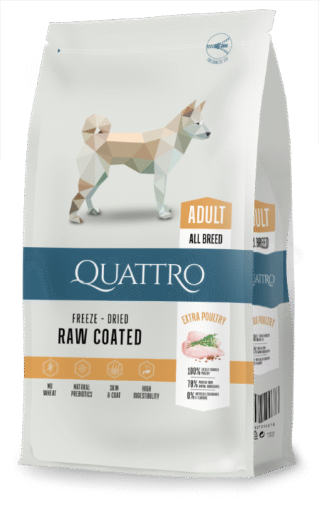 Quattro Extra Poultry su paukštiena sausas šunų pašaras, 3kg