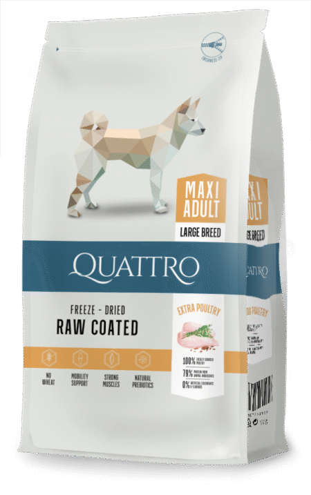 Quattro Maxi Poultry su paukštiena sausas didelių veislių šunų pašaras, 3kg