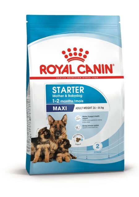 Royal Canin Maxi Starter Mother & Babydog sausas maistas šunims, 15kg