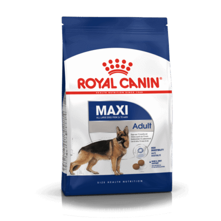 Royal Canin Maxi Adult sausas maistas šunims, 4kg