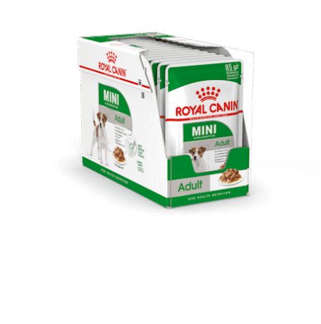 Royal Canin Mini Adult Gravy konservai šunims, 12x85 g