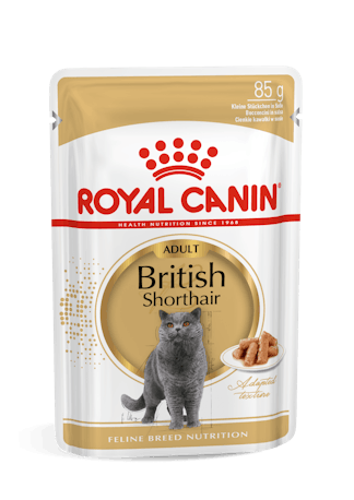 Royal Canin British Short Gravy konservai katėms, 12×85 g