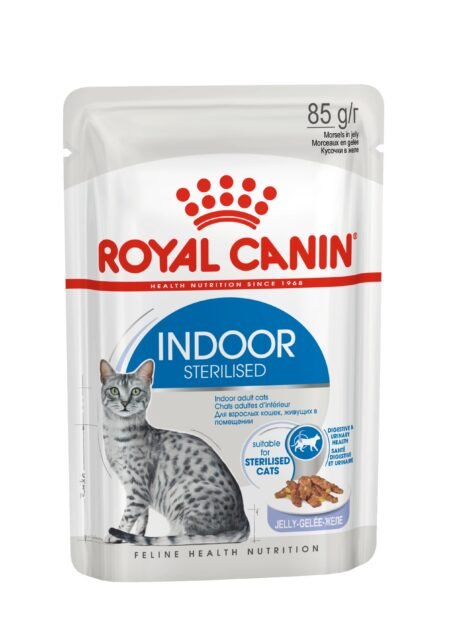 Royal Canin Indoor Jelly konservai katėms, 12×85 g