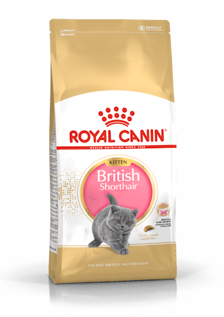 Royal Canin British Shorthair Kitten sausas maistas katėms, 0,4 kg