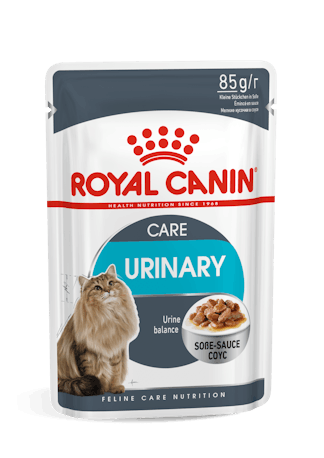 Royal Canin Urinary Care Gravy konservai katėms, 12×85 g